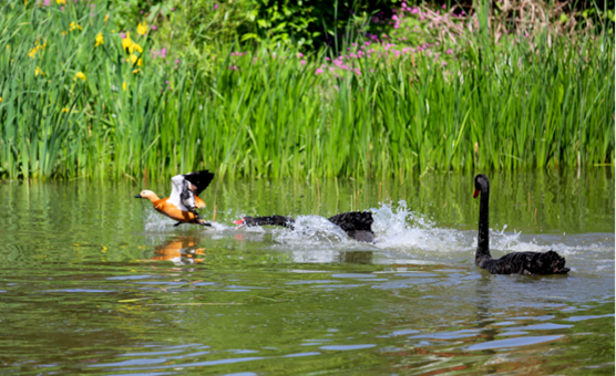 说明: //rcb.zipaicn.net/__local/5/A1/BF/141495AC6945C309DDB4AD2C889_6E35C68A_1210AD.png