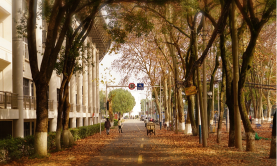 说明: //rcb.zipaicn.net/__local/F/DC/AD/26AAF68465C39908E951504ECA2_E70C2E5D_119062.png